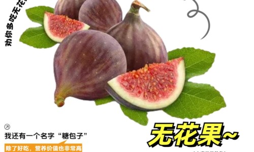 半夏禁忌人群有哪些-半夏忌什么中药网半夏忌什么中药材煲汤知识网站,分享半夏不适合什么人大全