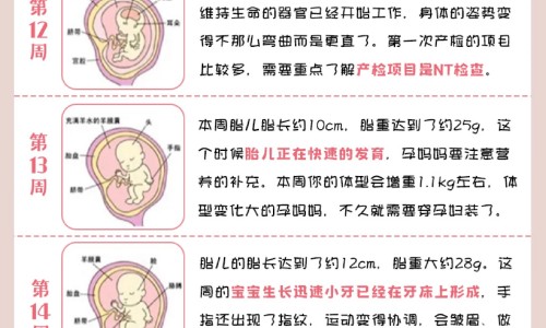 怀孕可以吃乌头吗？怀孕吃什么比较好