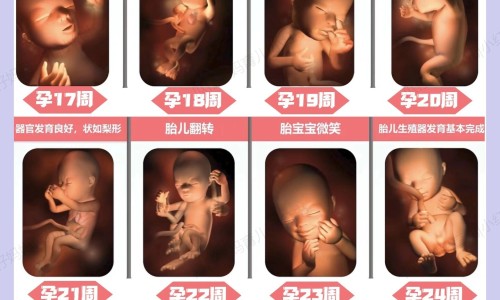 半夏忌什么中药网半夏忌什么中药材煲汤知识网站,分享半夏不适合什么人大全